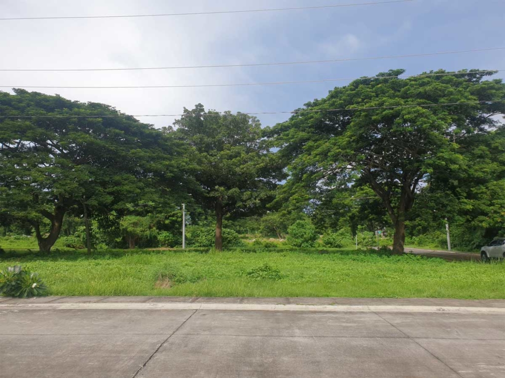 A large, empty lot covered in grass and with some trees around.